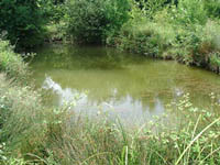 Source à sec 15 à 30 jours par an