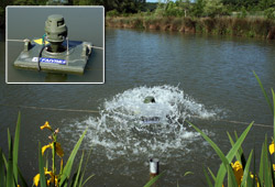 Oxyg&eacute;nateur flottant