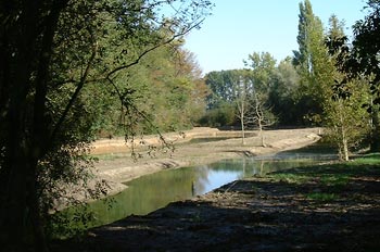 Bassin de décantation